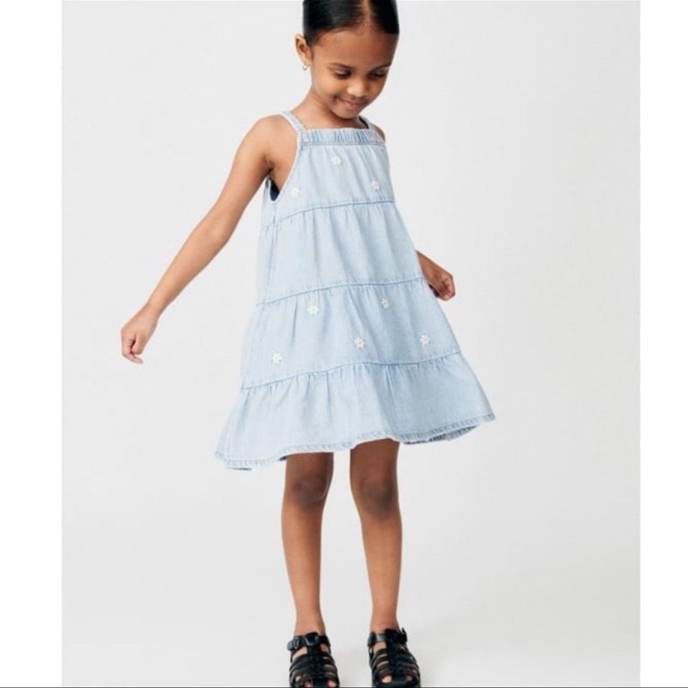 Zara Kids Girls Floral Embroidery Denim Dress NWT